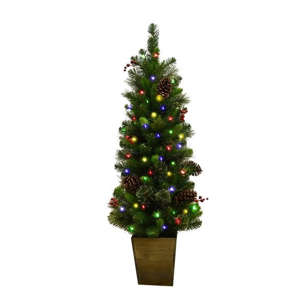 Platinum Tree Cdr Pine Multi 4' TDCPPT4BO-MUA